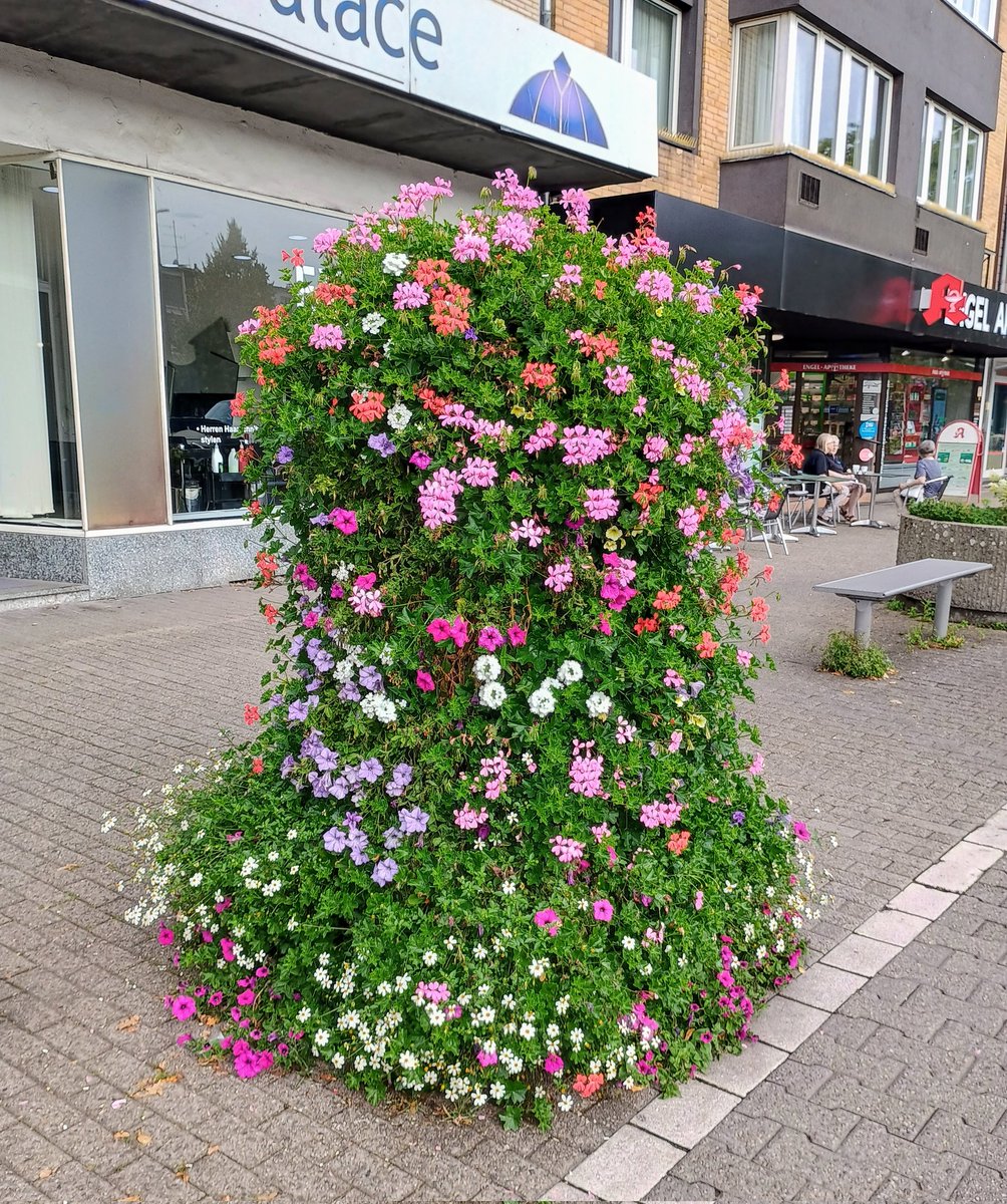 Hier 
#SchoenesGegenDoofes