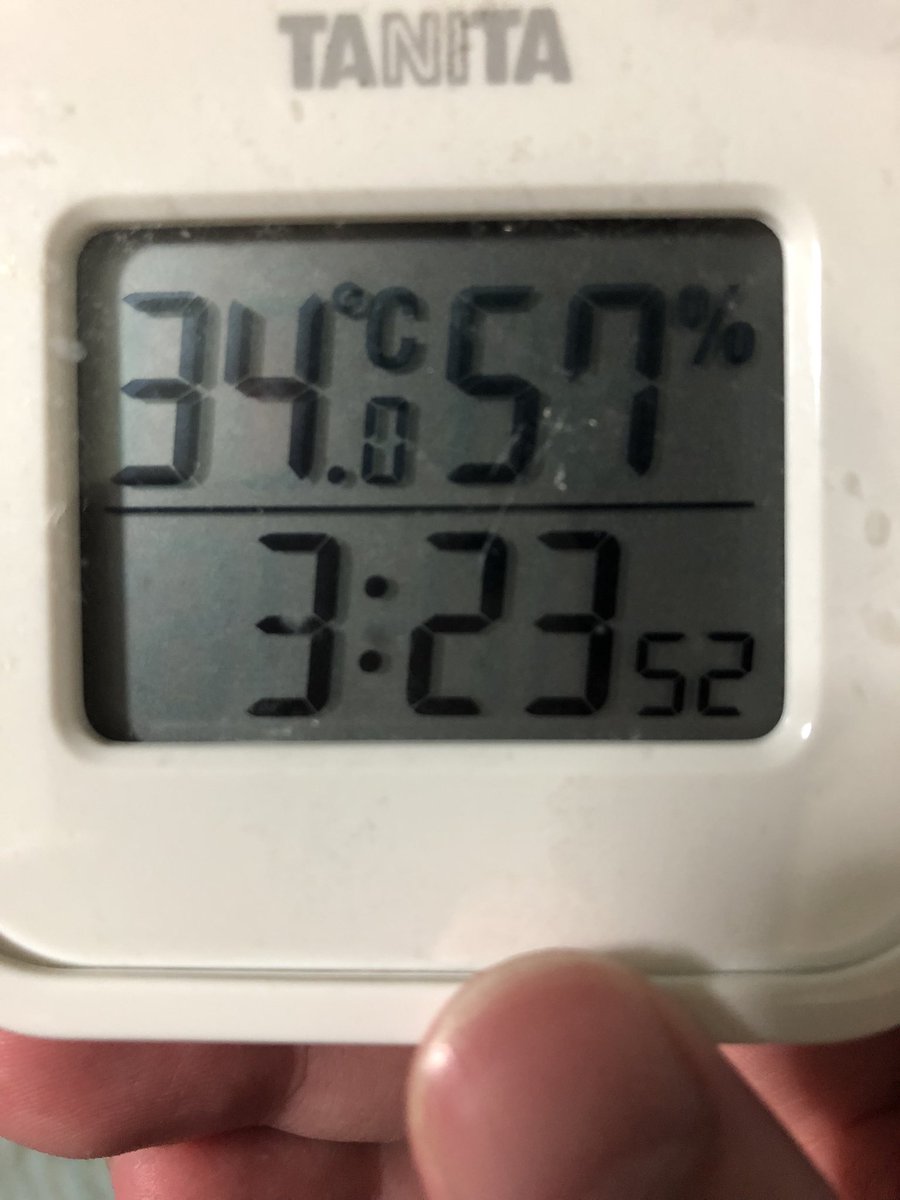 ぐる太郎 tweet media