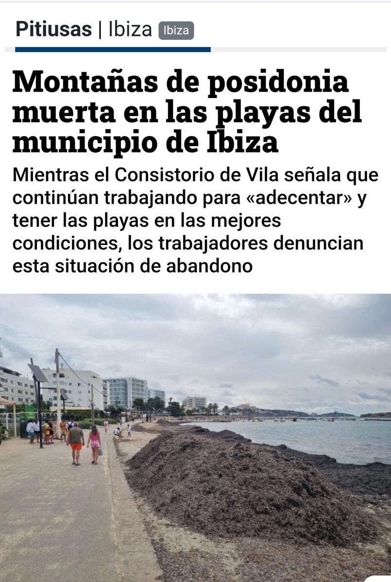Marco A. Guerrero (@marcoa_gm) on Twitter photo <a href="/Sousa__R/">Rubén Sousa</a> <a href="/oscarpiset/">Oscar Torres</a> <a href="/ajeivissa/">Ajuntament d'Eivissa</a> Ese equilibrio que dices es esencial, lo que pasa es que ahora, ante las quejas del sector económico, que las tienes (ver imágenes), la oposición no lo usa para atacar al gobierno. No hacemos oportunismo, se hace pedagogía. <a href="/Sousa__R/">Rubén Sousa</a> <a href="/oscarpiset/">Oscar Torres</a> <a href="/ajeivissa/">Ajuntament d'Eivissa</a> Ese equilibrio que dices es esencial, lo que pasa es que ahora, ante las quejas del sector económico, que las tienes (ver imágenes), la oposición no lo usa para atacar al gobierno. No hacemos oportunismo, se hace pedagogía.