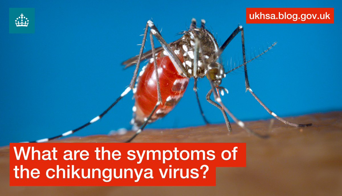 UK Health Security Agency tweet media