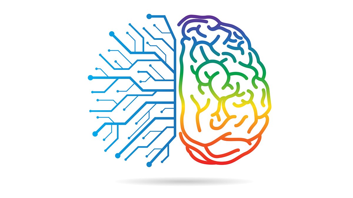 Imagine hammering a nail into a wall: Your dominant hand swings the hammer while the other holds the nail steady.

In a new theory, Cornell psychology scholars propose that everyday tasks like this are responsible for a fundamental aspect of perception in the brain: why one side