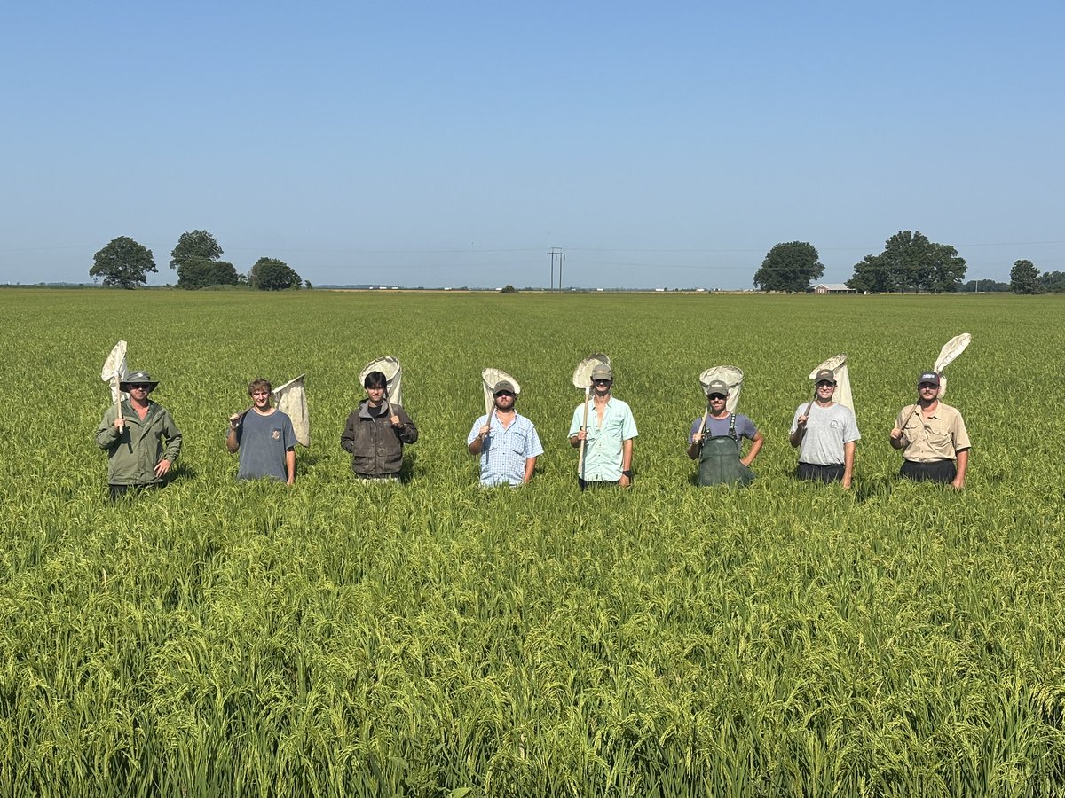 Eddy Cates tweet media