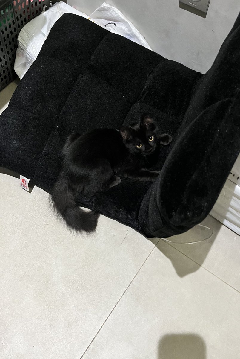 _aBcdFake's tweet image. tumang 🖤