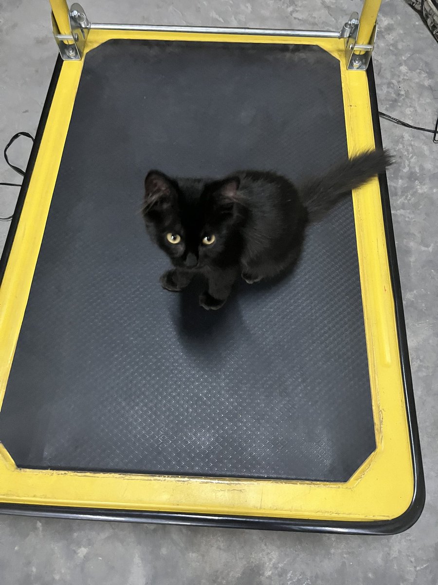 _aBcdFake's tweet image. tumang 🖤