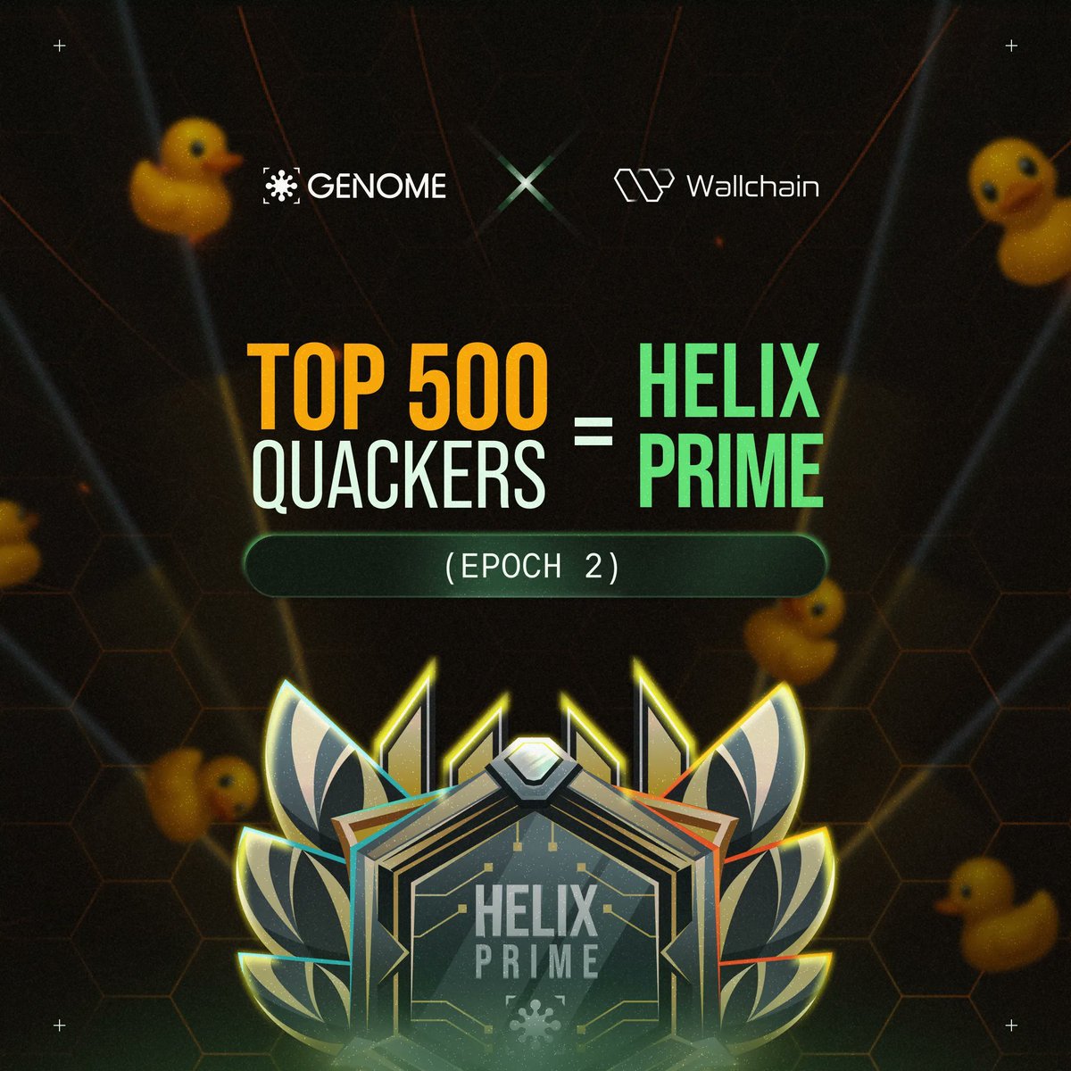 G~N $NOME and $QUACK  believer's 

Latest Updates You Shouldn't Miss 

 Wallchain : Add Your Reward Wallets!
You can now add your Solana and EVM wallet addresses inside the Quacks app to receive rewards from projects based on your leaderboard performance
 This is crucial if