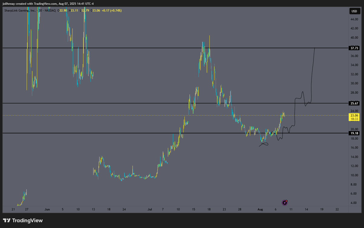 CryptoGodJohn's tweet image. $SBET following the plan nicely