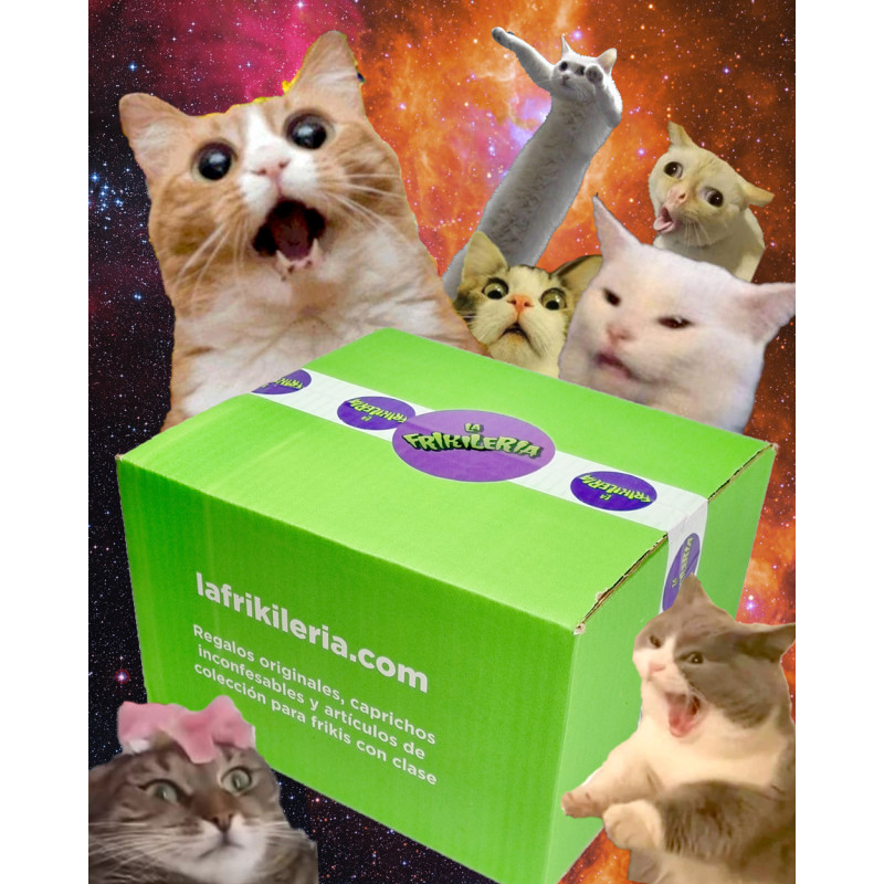 frikileria's tweet photo. Hoy es el Día Internacional del Gato, los amos, reyes y señores de toda la internet 💖😻🌸

Lo celebramos con un código de 5€ para toda la Kawaii Zone 👉 https://t.co/Vx19kDDKD3

El código: KAWAIICHISIMO

#diainternacionaldelgato #diadelgato #kawaii #cuqui #monisimo #cupon https://t.co/JflK8JiWPB