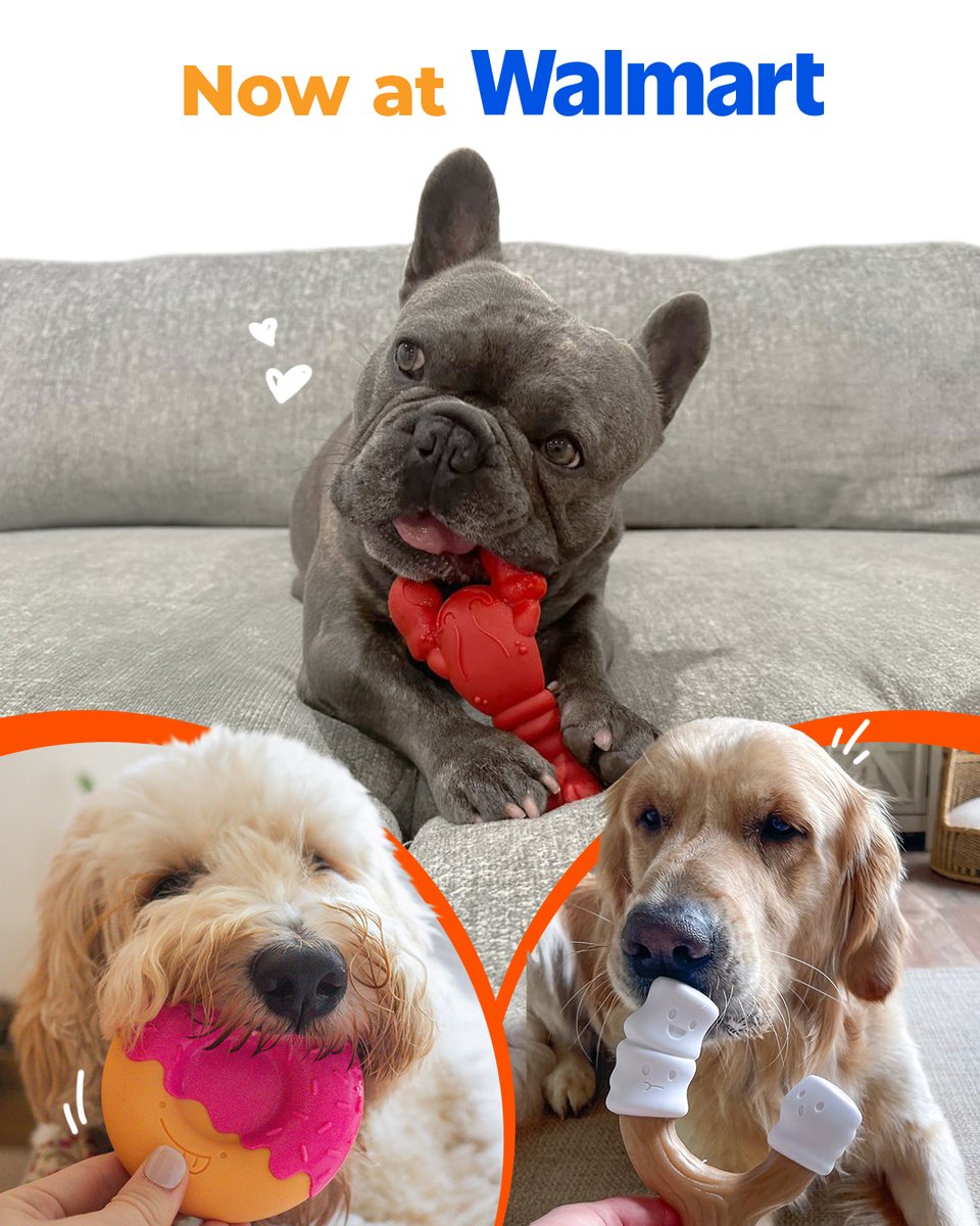 Your dog's summer just got CUTER! Our lobster, marshmallow stick, and donut chew toys are now ready to *add to cart* at <a href="/Walmart/">Walmart</a>.

#Nylabone #dogchewtoys #dogtoys #cutedogtoys #walmart #walmartfinds