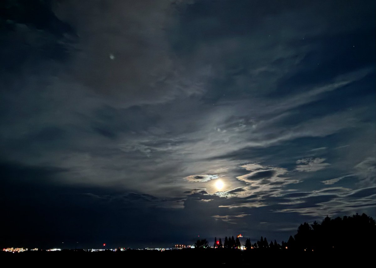 函館裏夜景

月光