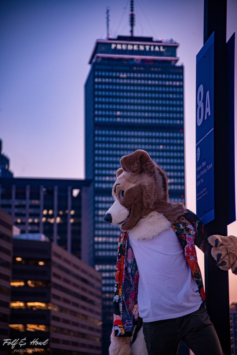Summer Nights 🐾🌃

📸: <a href="/SparksTheFolf/">⚡️Sparks⚡️🐺 🦊 🔜 MEGAPLEX!</a>