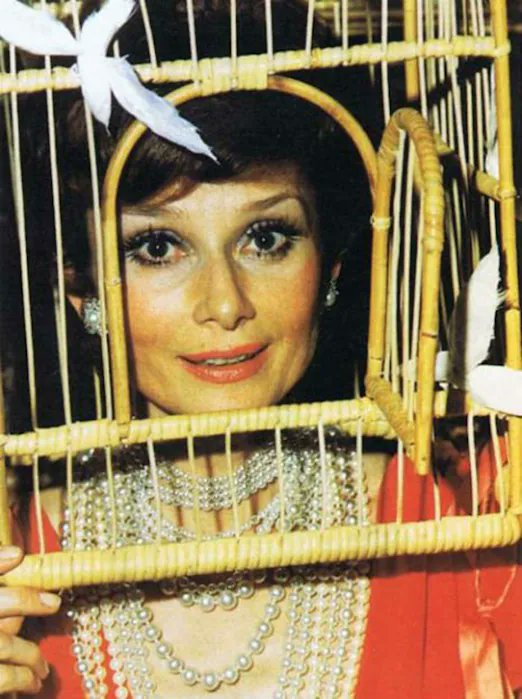 Audrey Hepburn at the Illuminati Rothschilds Surrealist Ball 1972, at the Château de Ferrières in France

I probably don't have to explain her costume