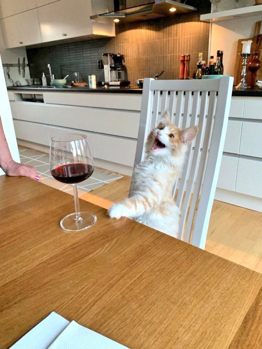 "I ORDERED THE CHÂTEAUNEUF-DU-PAPE DAMMIT"