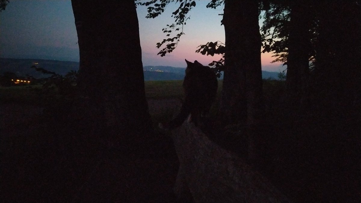 Daesy55676957's tweet image. 🌞✋