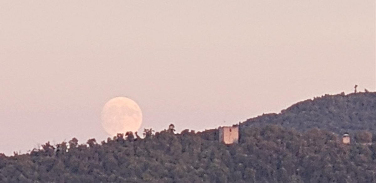 From my terrace and not launching a advanced language model... :)