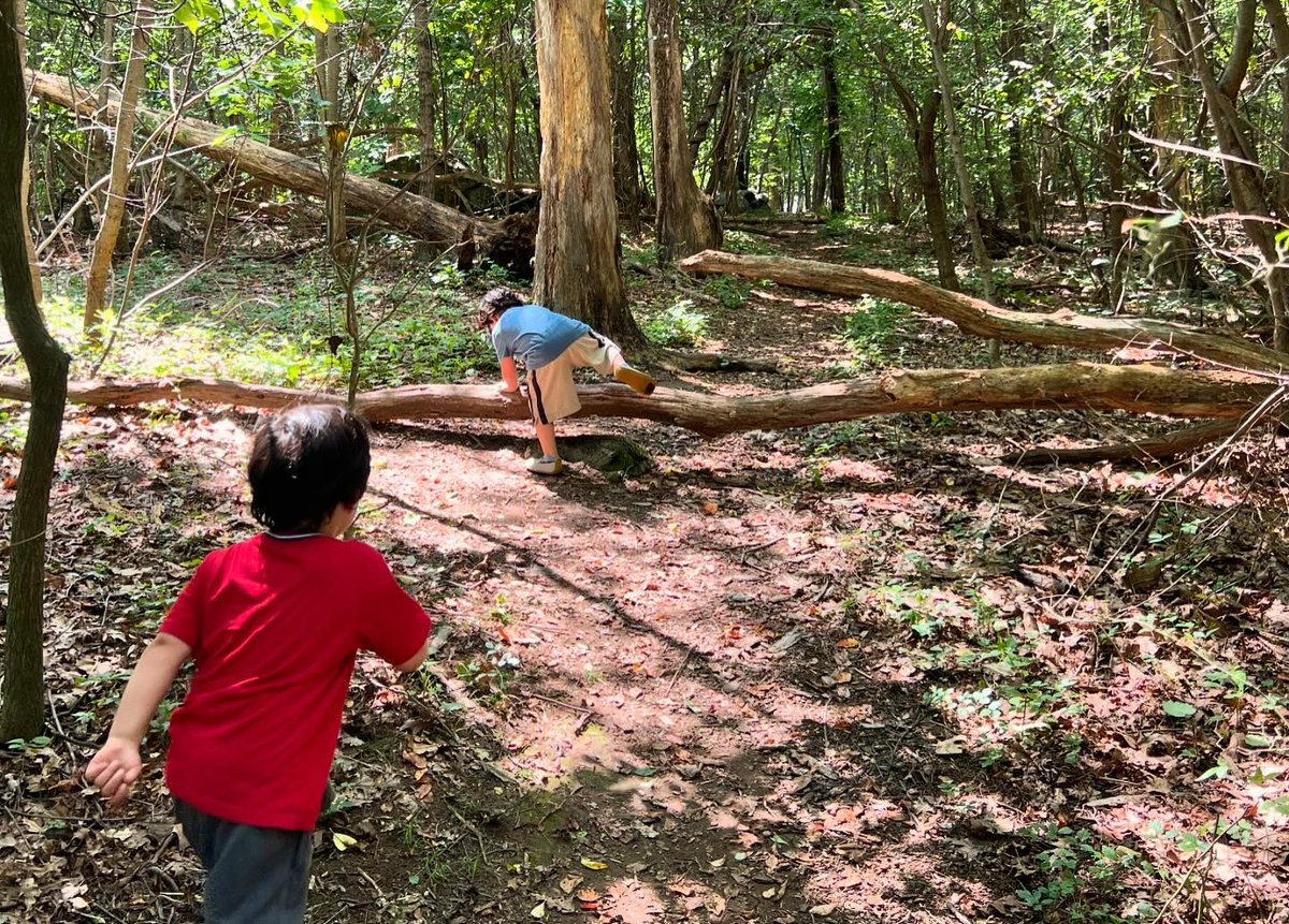 effina (@effinacarroll) on Twitter photo 