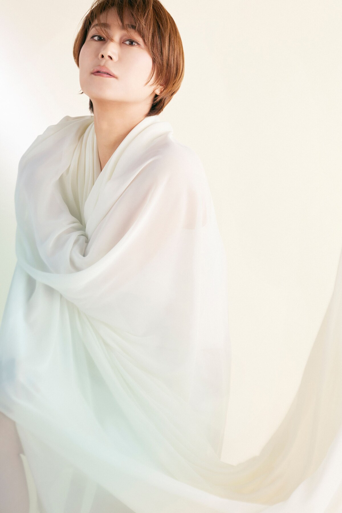 氷川きよし　バンダナ Yahoo!オークション - 氷川きよし バンダナ 公式グッズ