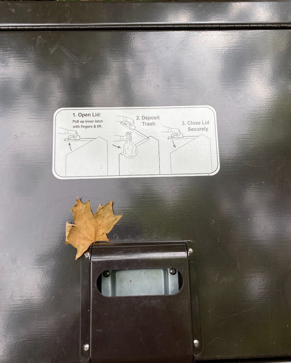 It's up to all of us to be advocates for the parks we love. Here are a few simple ways you can be a respectful visitor: 
🌿Do not pick any flowers or plants 
🦊Keep your distance from wildlife 
🌲Stay on the trail 
🍫Pack out your garbage, or make sure it ends up in a garbage can