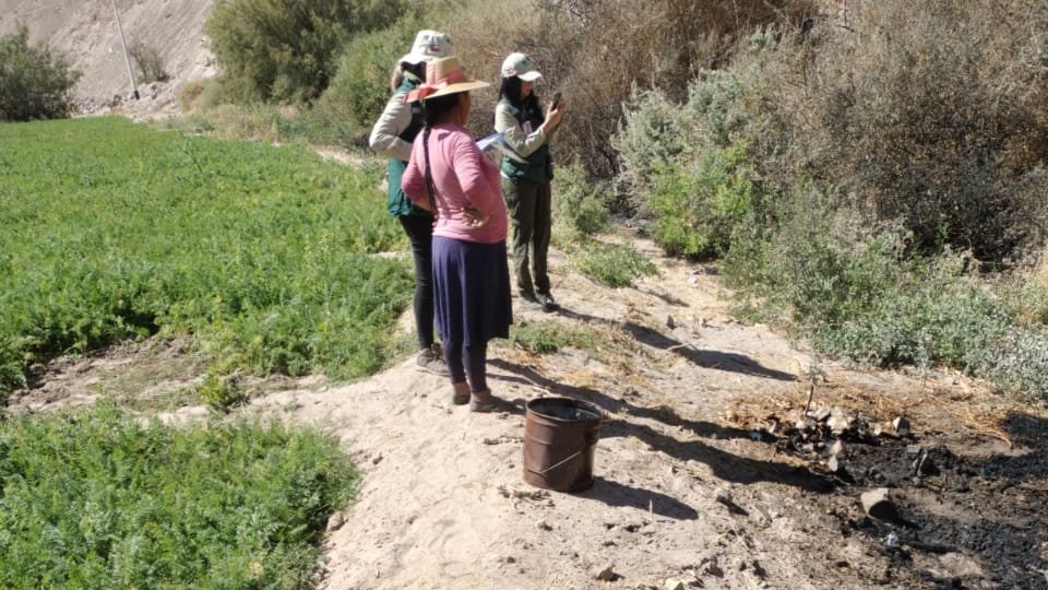 🔴Porque prevenir un incendio forestal es más fácil que combatirlo, nuestro equipo preventivo paralizó una quema ilegal en el sector Alto La Luna.

La faena se detectó a tiempo gracias a un patrullaje preventivo por la quebrada de Tarapacá (tramo Huarasiña - Laonzana).