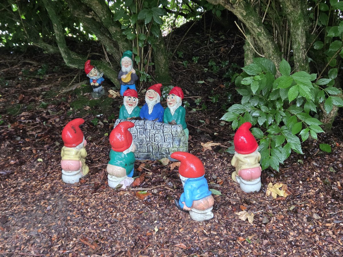 Karen_Hunter's tweet photo. The Gnome Reserve! https://t.co/qelF9S8k5j