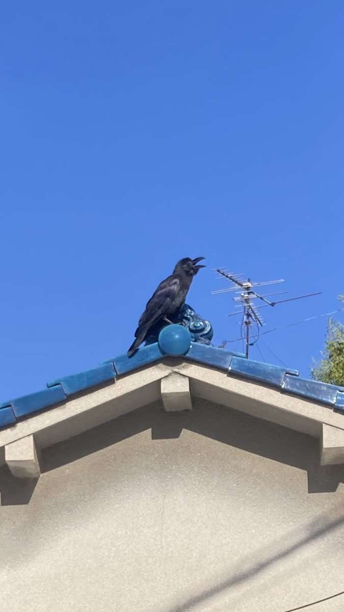 おはようございます☀️
わたくしごとですが、明日から9連休です🎌
今日も一日ご安全に🍀