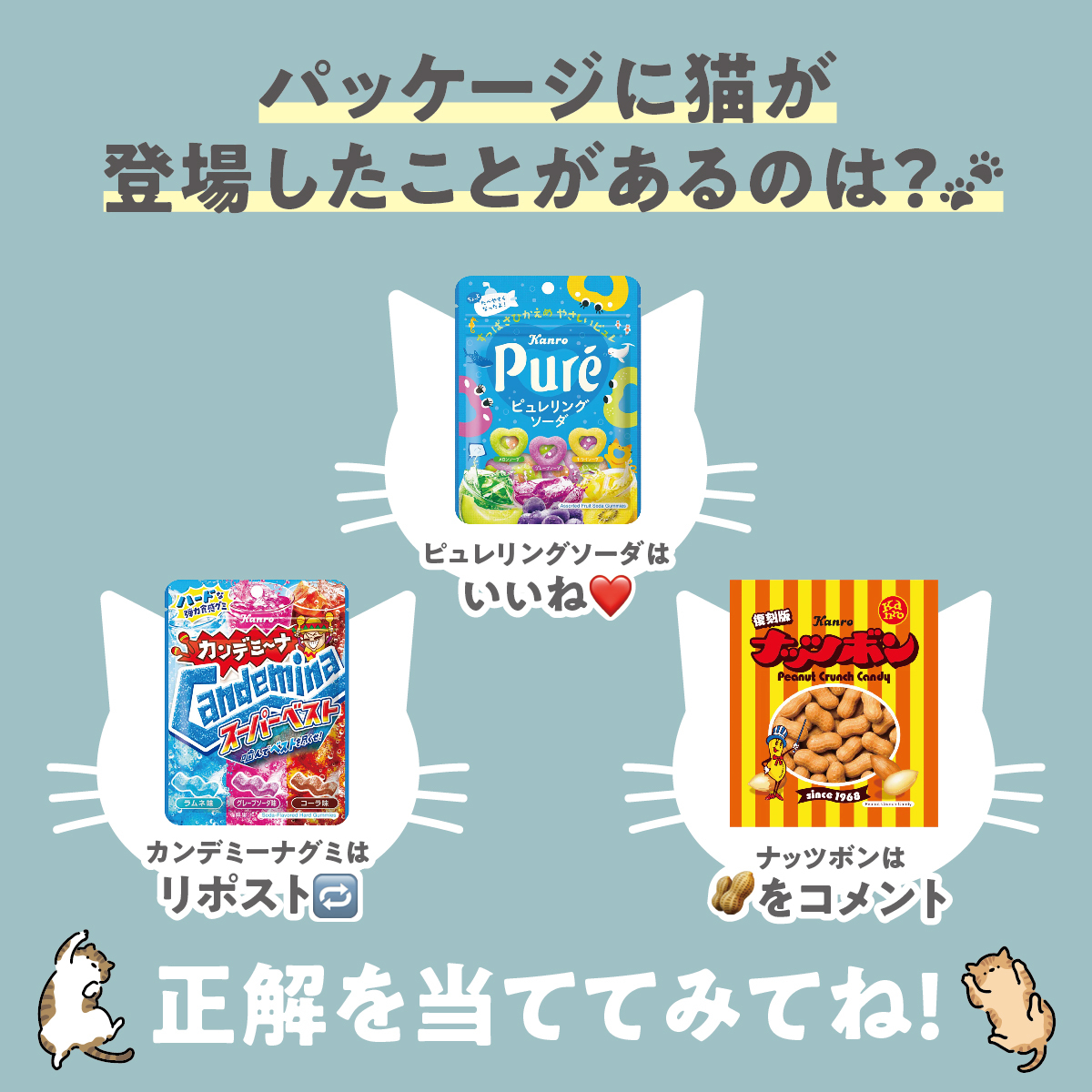 甘露飴※プロフお目通しお願い致します様 リクエスト 3点 まとめ
