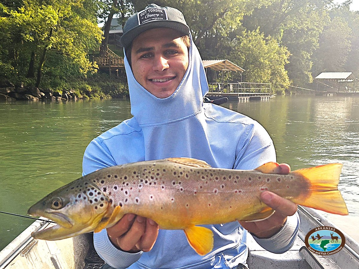 Arkansas Game and Fish Commission (@argameandfish) on Twitter photo Arkansas Wildlife Weekly Fishing Report
August 7, 2025
🎣 bit.ly/46Nrm5x
Jason (no last name provided) from Memphis, Tennessee, was on the Little Red River near Heber Springs when he caught this nice brown trout while fishing with guide Mike Winkler. Arkansas Wildlife Weekly Fishing Report
August 7, 2025
🎣 bit.ly/46Nrm5x
Jason (no last name provided) from Memphis, Tennessee, was on the Little Red River near Heber Springs when he caught this nice brown trout while fishing with guide Mike Winkler.