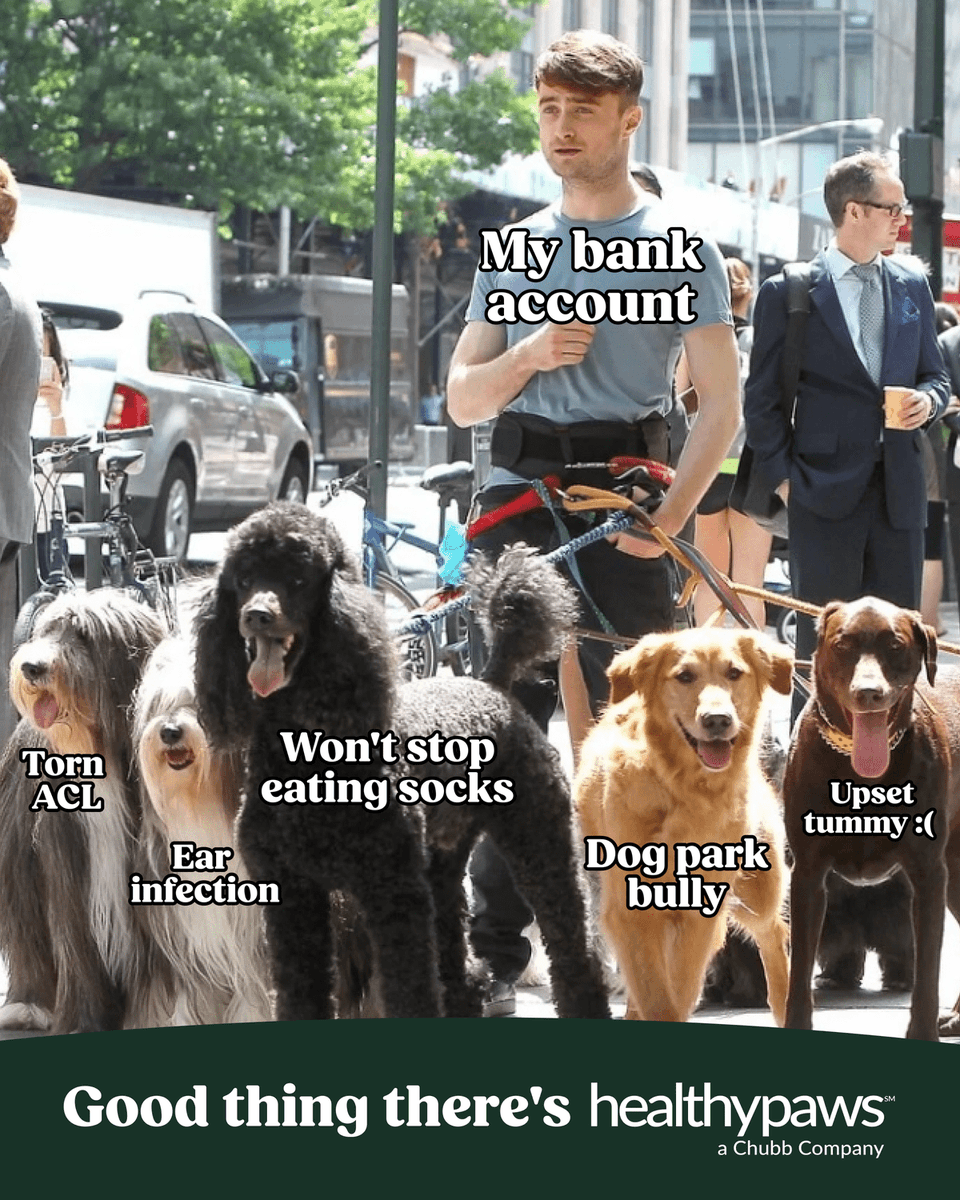 Healthy Paws, a Chubb Company tweet media