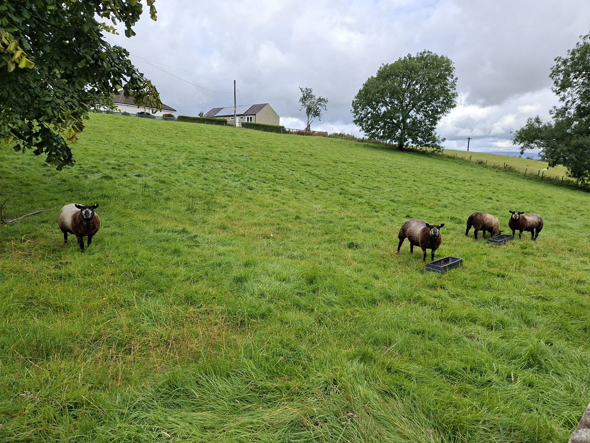 The best girls #HerdelBlues