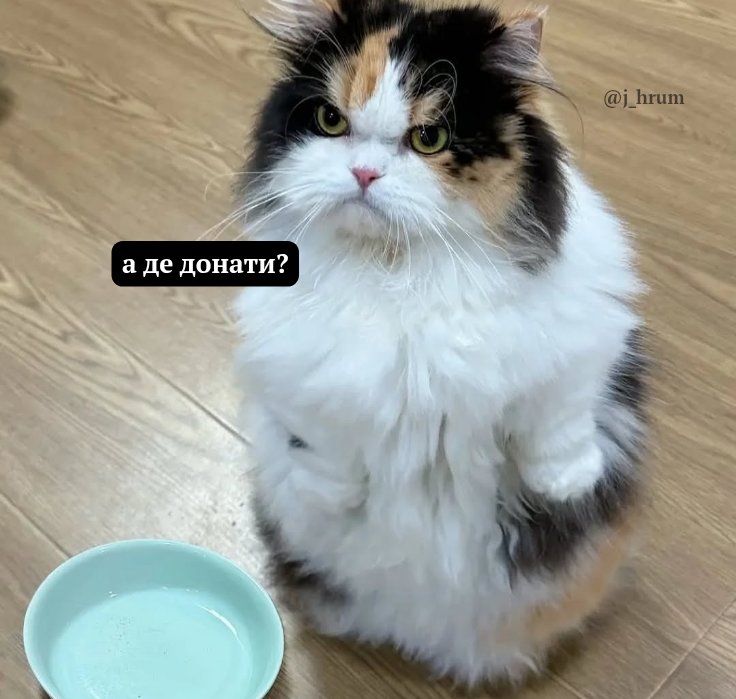 це я, коли заходжу в моно глянути на баночку