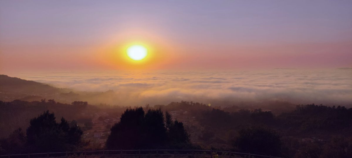 Fenómeno curioso na ría de #Vigo: néboa de advección só sobre a auga. Aire quente, mar frío e #maxia #física. Desfrutando de #Galicia sempre #Xeografiando