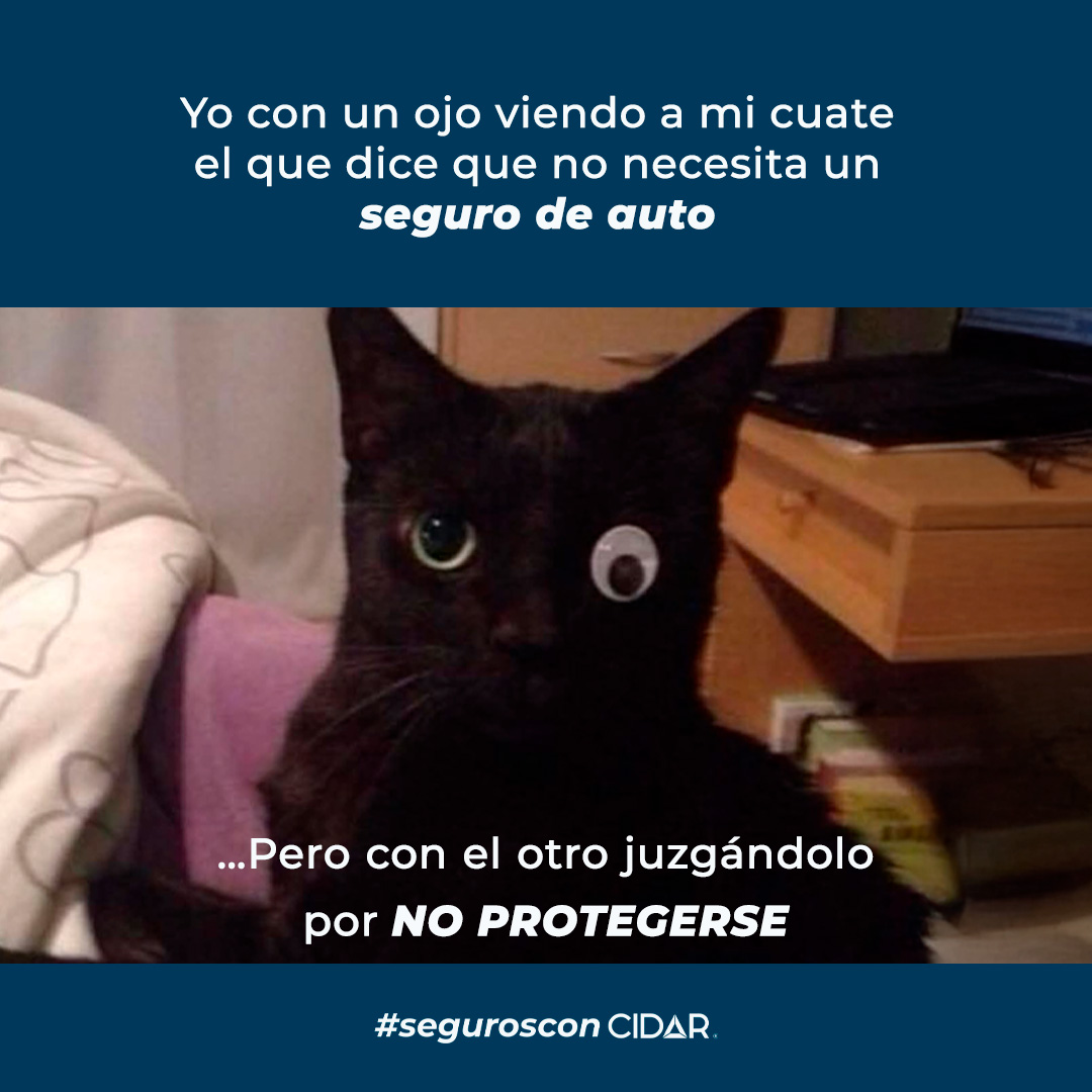 gcidar's tweet photo. Por eso… Mejor protégete 😹

#segurosconcidar #segurodeauto #seguro #auto
#humor #meme https://t.co/zJ3rKkqZGI