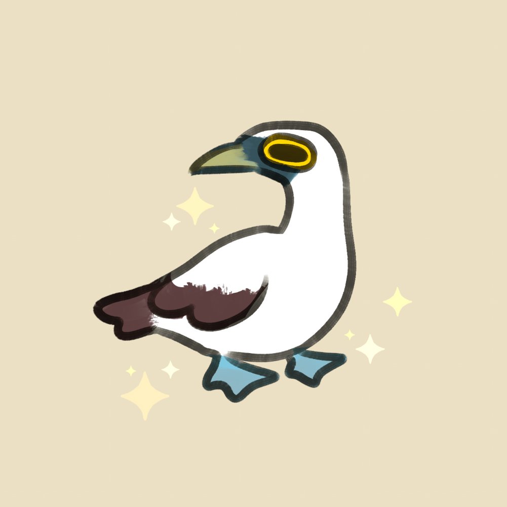 day 7 ~ #AvianAugust ~ masked booby 🌊