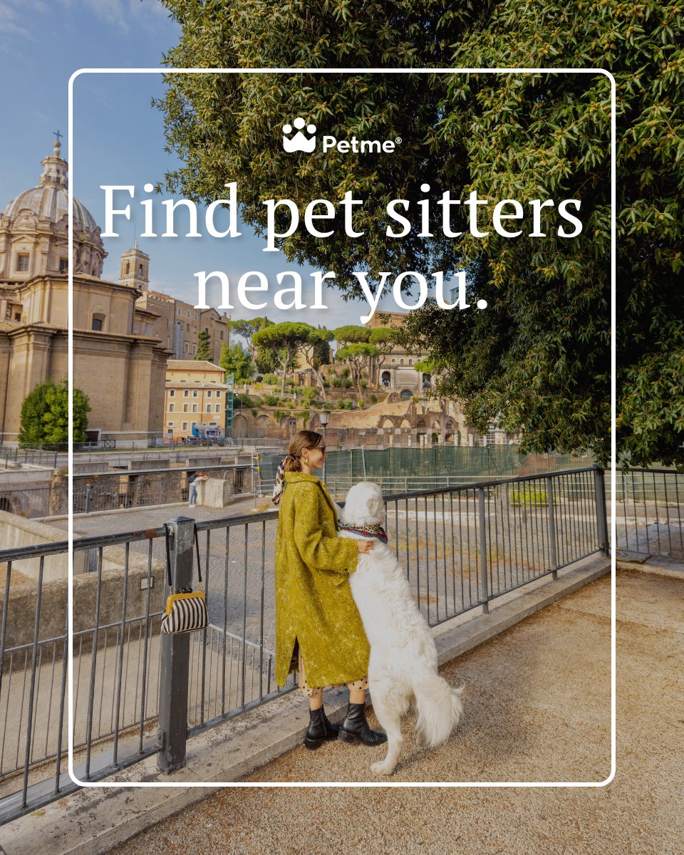petmesocial's tweet photo. Seeing a sitter post about soothing pup’s anxiety 10 seconds before you book? Now that’s Petme-level connection. https://t.co/2OJZEO13xA