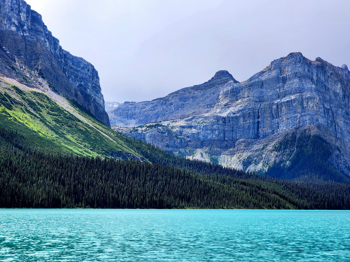 Mark Milleker tweet media