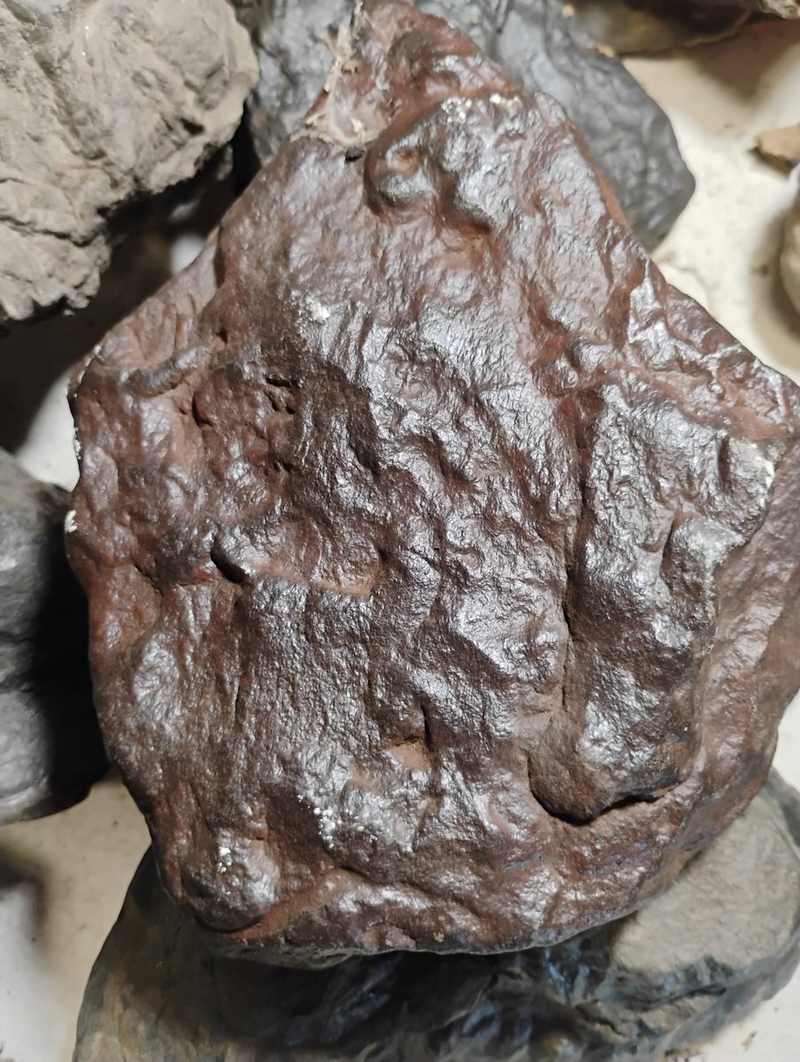 Post connecting to "Origin of Life" This was a visual match to the piece that connected the RNA rich in Amino Acid that existed before earth