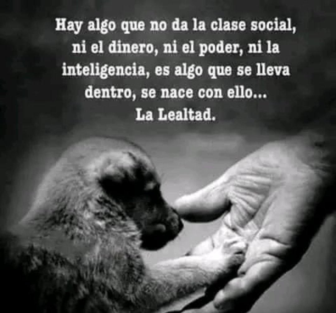 Mónica Chávez (@mnicachvez14) on Twitter photo 