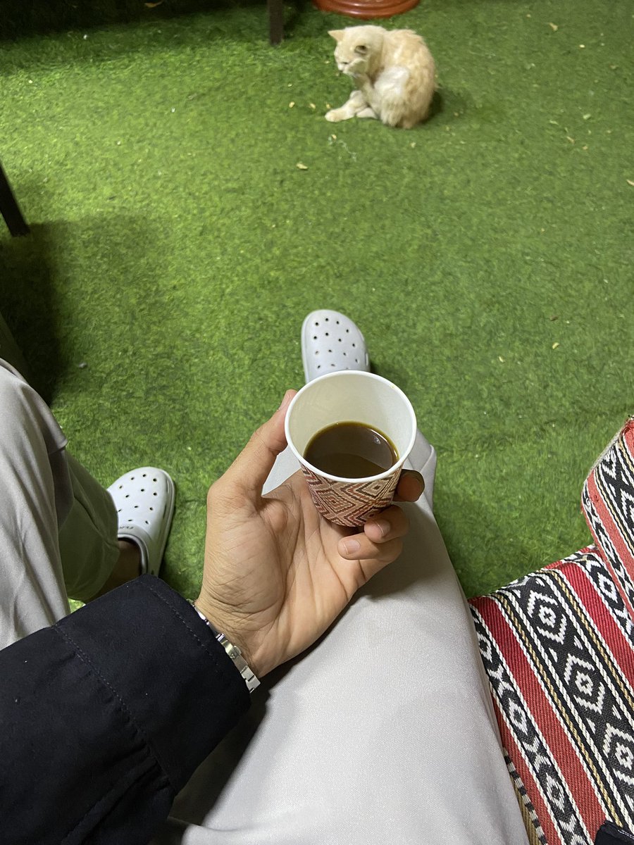 أنا بِ انتظار الشتاء والليالي الباردة 🤍🪴.