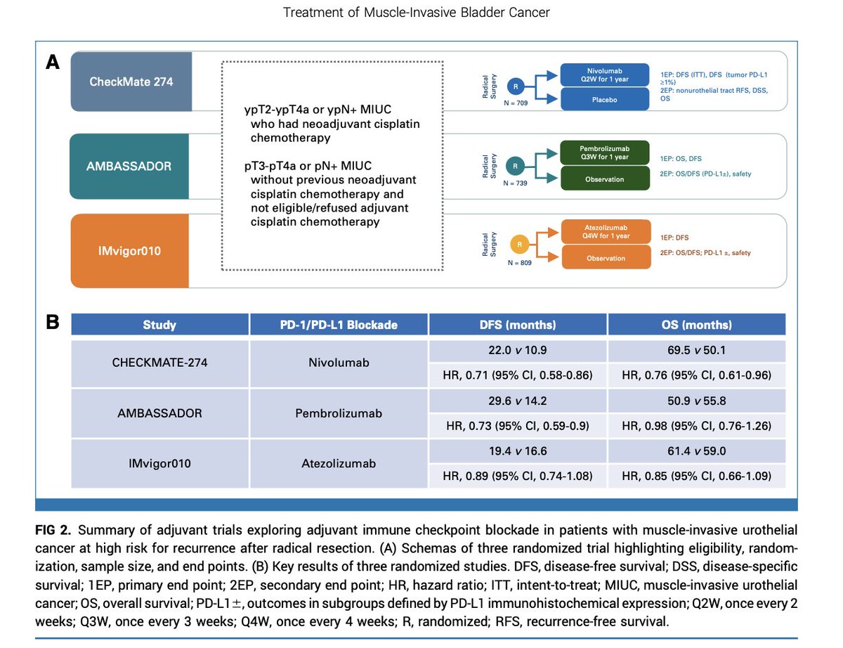 DrYukselUrun's tweet image. A mind-opener review on muscle-invasive bladder cancer. Must-read for GU oncologist.
#BladderCancer #Oncology #Immunotherapy
@MattGalsky  @l_ballas @UroDocAsh @ASCO @JCO_ASCO @WorldBladderCan @OncoAlert @OncBrothers @Uromigos @urologysummit 
doi.org/10.1200/JCO-25…