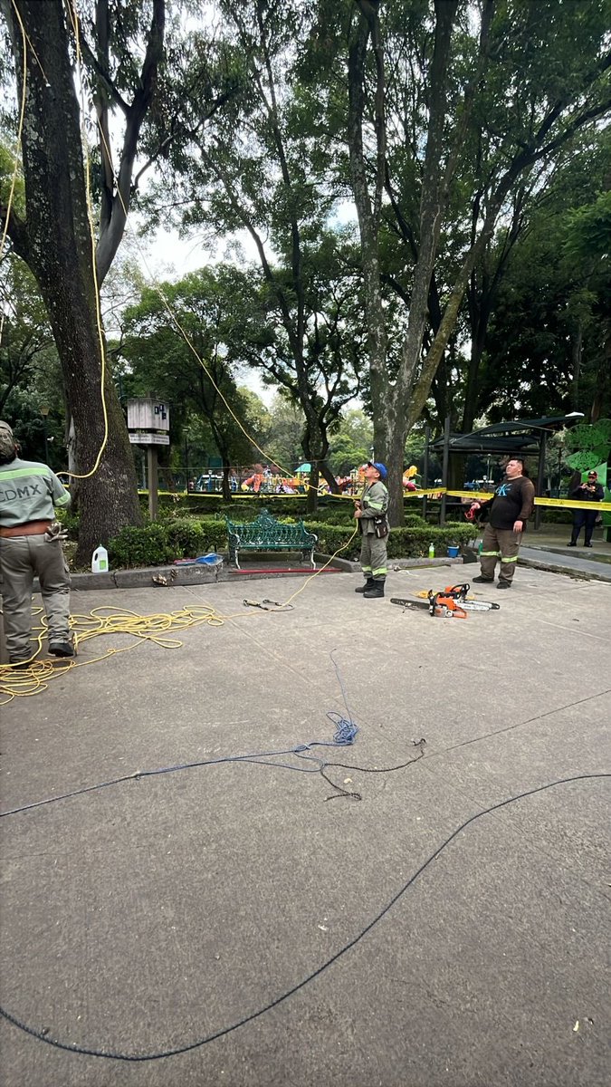 Personal de #ProtecciónCivil360 y #DGSUBJ trabajan en el retiro de un árbol con riesgo de caída en Parque de los Venados.
Tomen precauciones al circular por la zona.