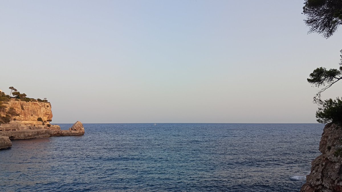 kodgy (@kodgyv2) on Twitter photo 