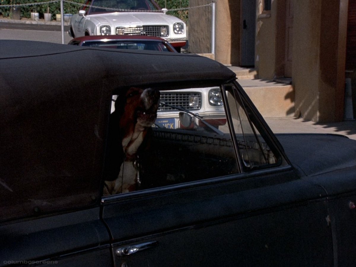 columbo screenshots (@columboscreens) on Twitter photo 