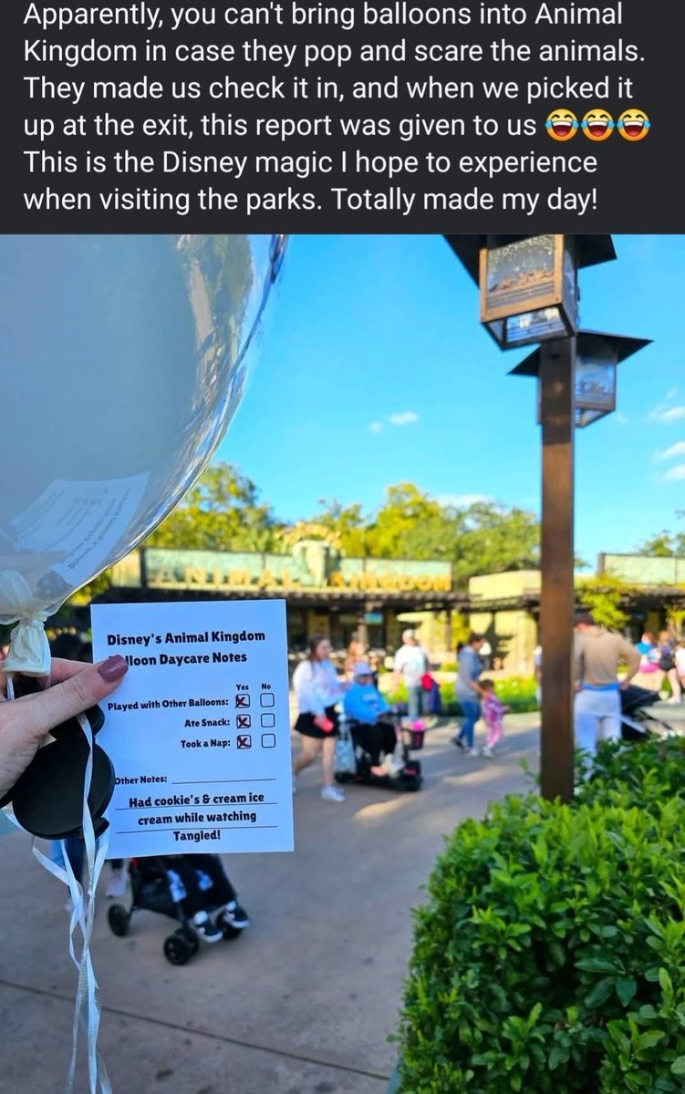 Sembloonce tweet media