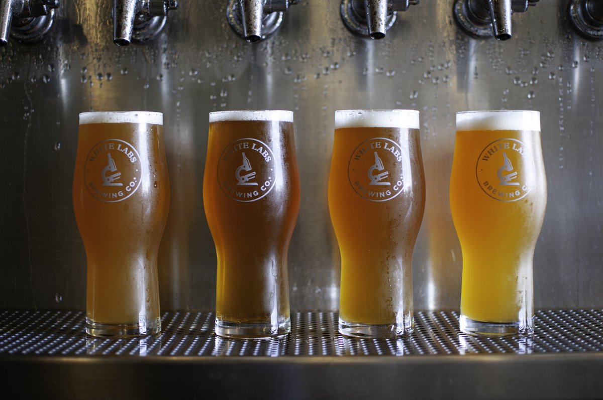 Happy National IPA Day! Elevate your IPA brew with White Labs’ world-class liquid yeast selections! From American IPA, Belgian IPA, West Coast IPA, Hazy IPA, &amp; more! 🔬White Labs' offers a plethora of strains for any IPA Style!