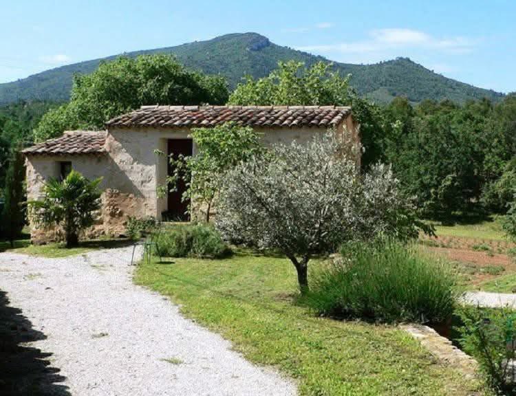 Cabanon provençal