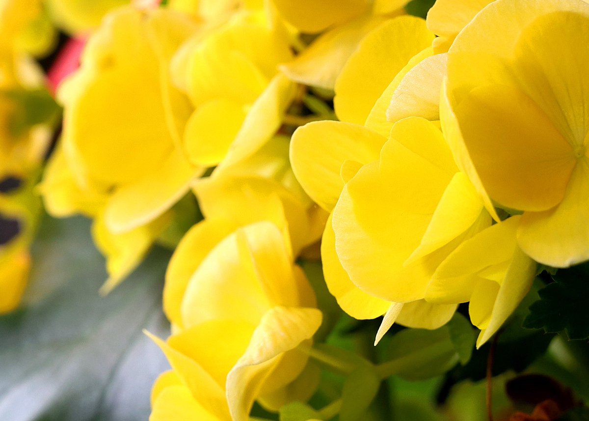 PEI in the summer. Who’s got it better than us. #pei <a href="/GOVPEI/">PEI Goverment</a> #northshore #southshore #cityshore  #summer2025