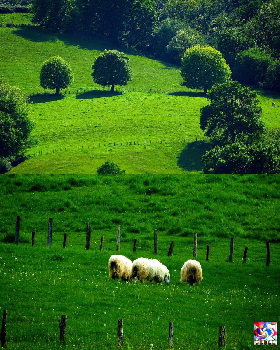 CAMBO-LES-BAINS.

Site portail officiel de la ville de Cambo-les-Bains (Kanbo) au Pays Basque, dans les Pyrénées Atlantiques 64 : actualités, agenda, services mairie, ...