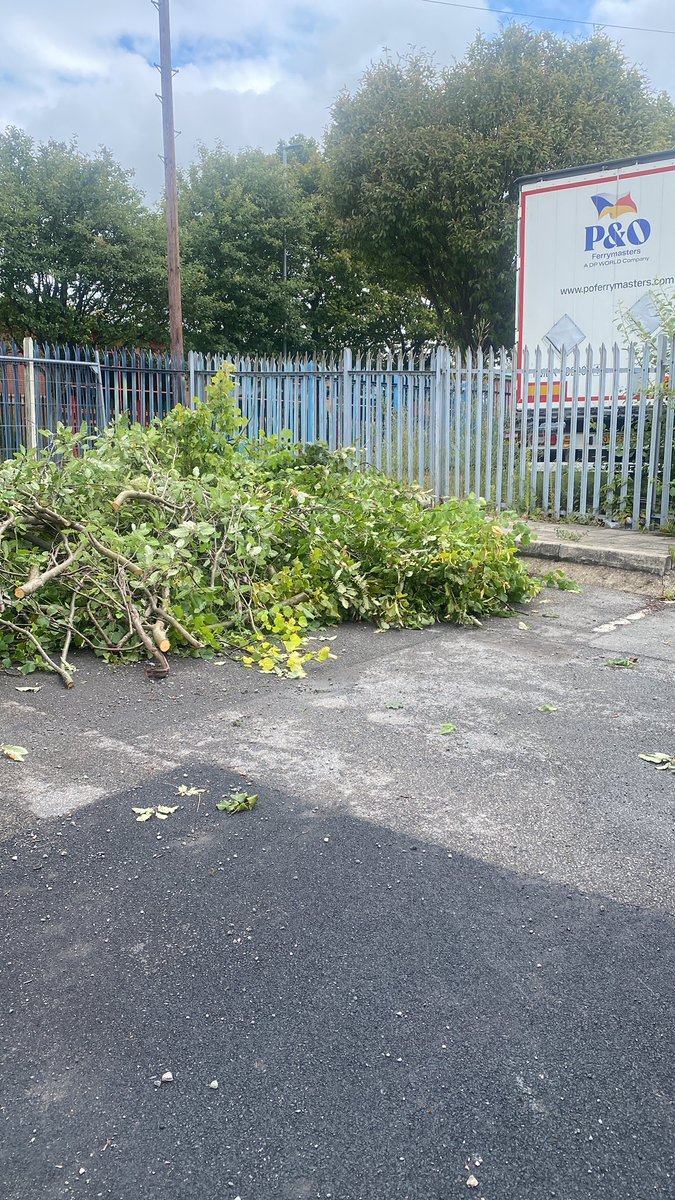 Karl Fischer tweet media