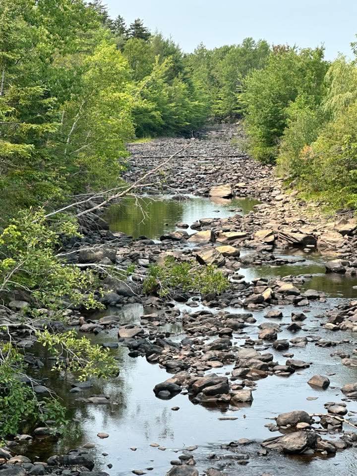 I can usually kayak down this river. Have many summers, including 2023, when we had our last bad fire season. We're in a drought. Not sure how folks can't grasp this. My local FB pages are people with wells looking for water deliveries.