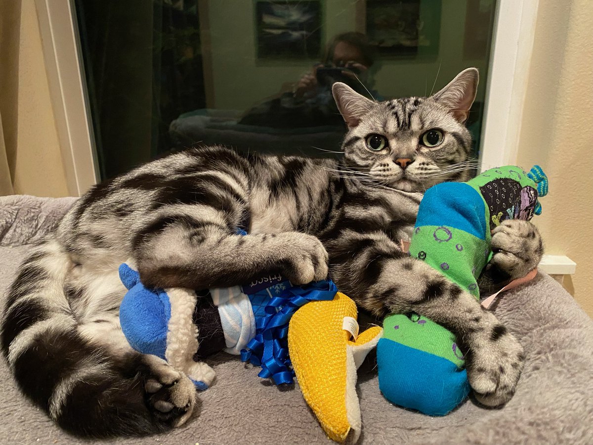 GoodTimesWithScar tweet media