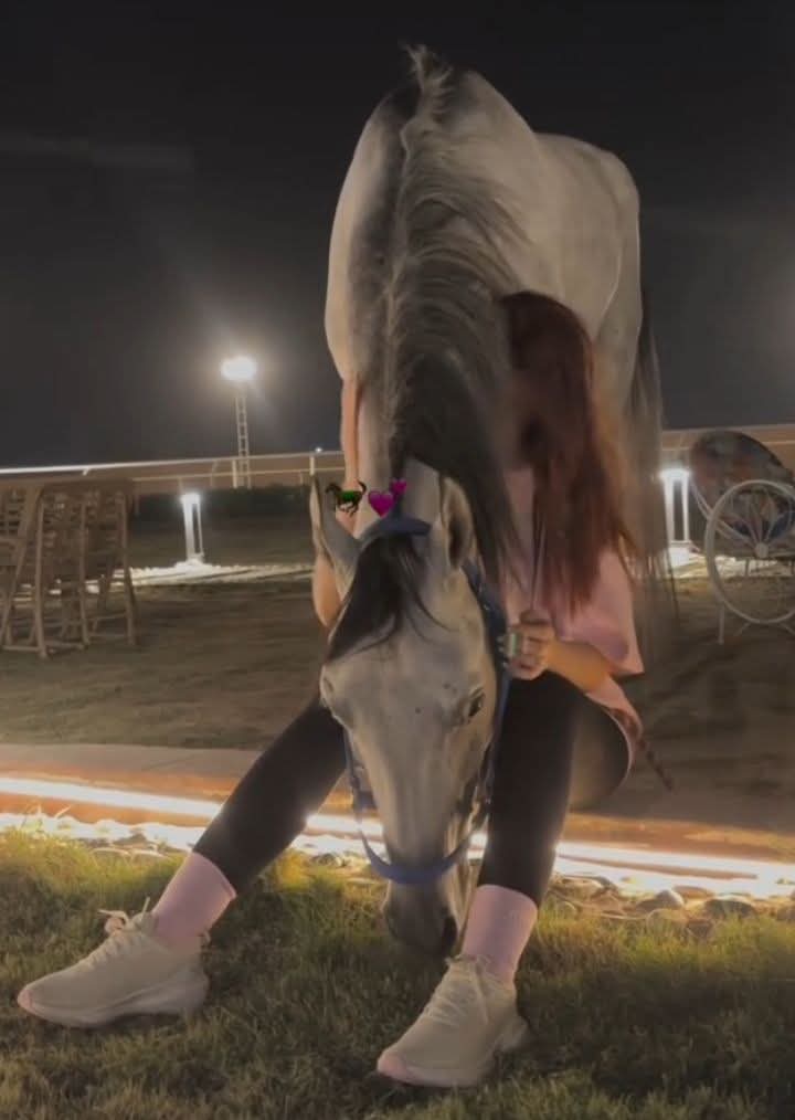 لا تأخذ كل شيء على محمل الجِد ، ضع بعض الأمور قيد "الأرشفة" ، و قليل منها قيد "الإهتمام " ، و الكثير الكثير منها قيد " الإهمال"!